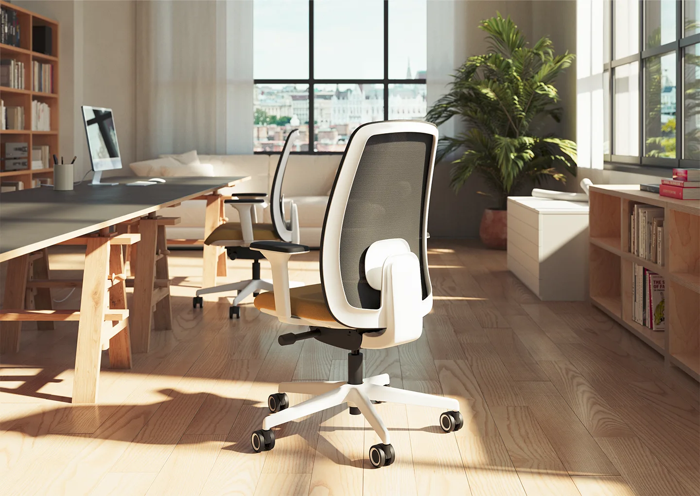 brado-splash-render-01-25